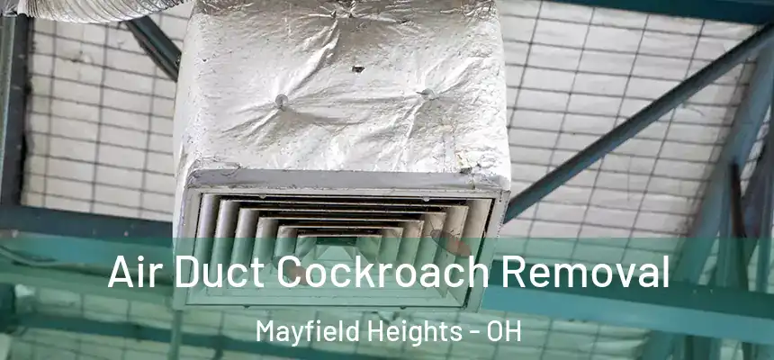  Air Duct Cockroach Removal Mayfield Heights - OH