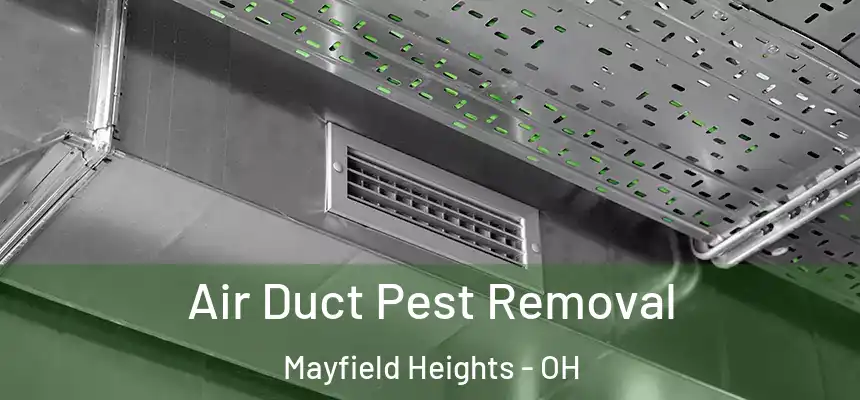  Air Duct Pest Removal Mayfield Heights - OH