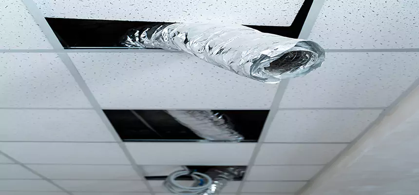 Affordable HVAC Sanitizing After Pest Removal in Mayfield Heights