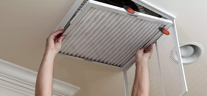 Our Insect Removal from Air Ducts Services in Mayfield Heights, OH