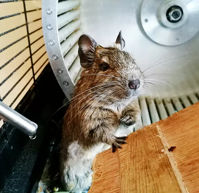 Why Homeowners & Businesses Trust Us Mayfield Heights, OH